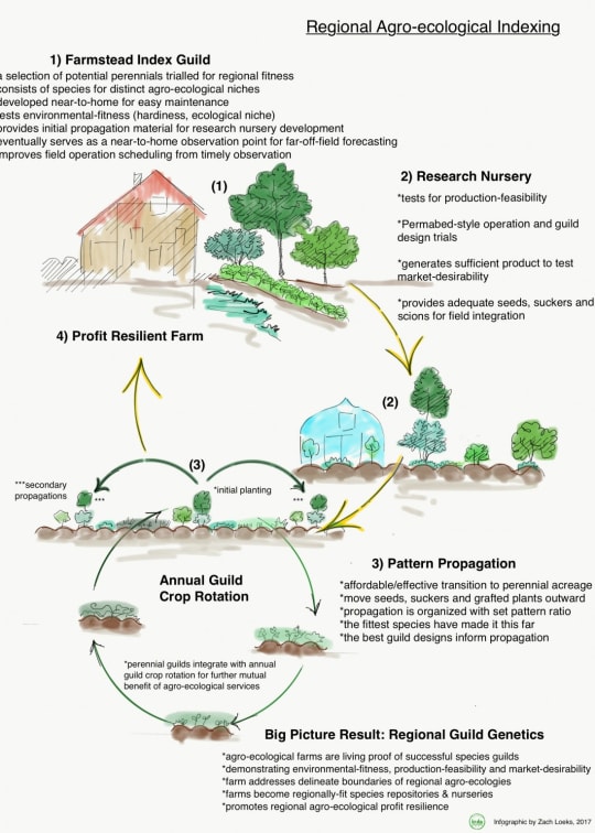 permaculture_techniques.pdf