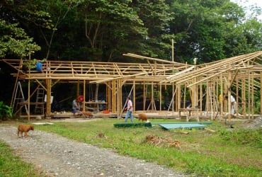Building and House Construction Materials - Bamboo