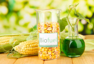 Energy - BioFuel