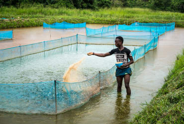 Farming - Aquaculture