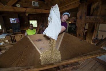 Food and Water - Skills - Grain Milling