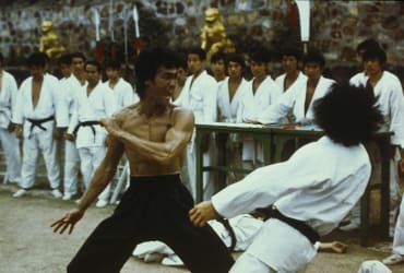 Unarmed Combat and Martial Arts - Bruce Lee
