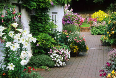 Gardening - Floral