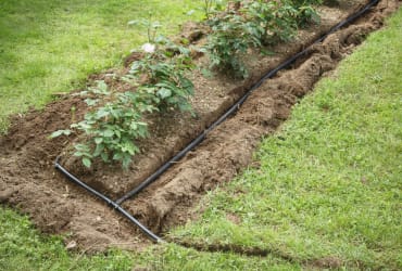 Gardening - Irrigation