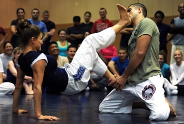 Unarmed Combat and Martial Arts - jiu-jitsu