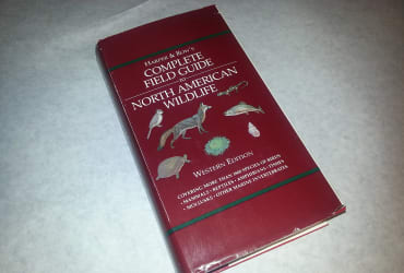 Wildlife - Handbook