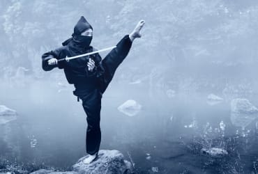 Unarmed Combat and Martial Arts - Ninja
