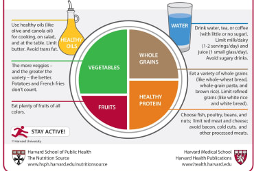 Food and Water - Nutrition