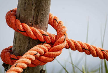 Wilderness and Outdoors - Ropes and Knots